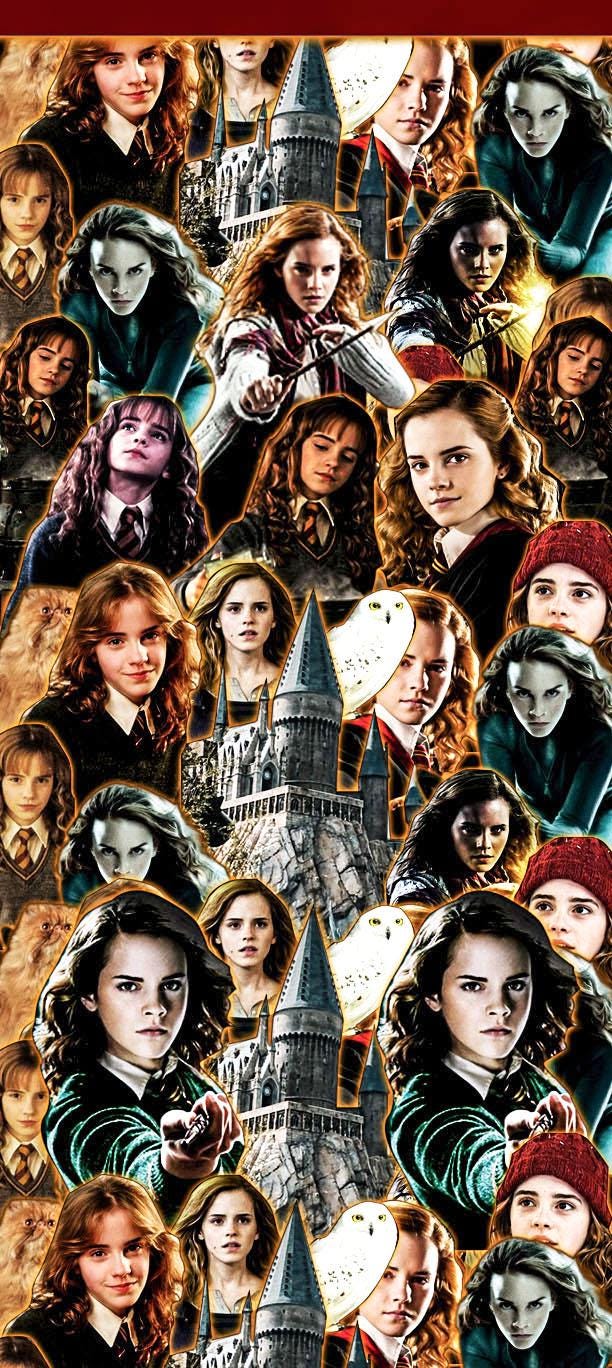 Hermione Granger Socks Harry Potter Socks
